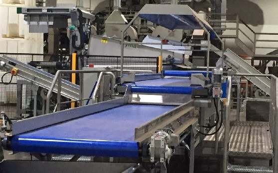 Inspection Conveyor